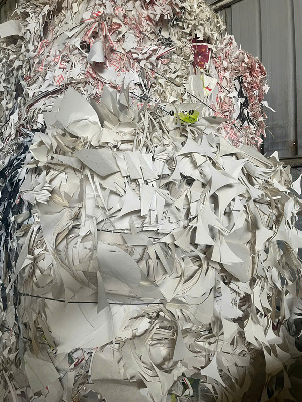 Thu mua phế liệu giấy