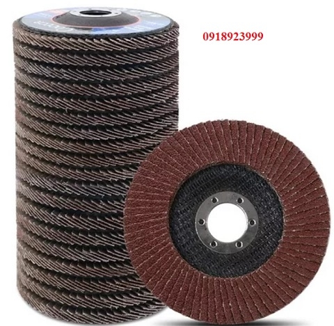 Nhám xếp hạt