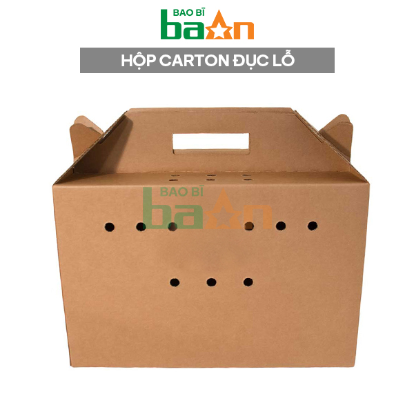 Thùng Carton Đục Lỗ