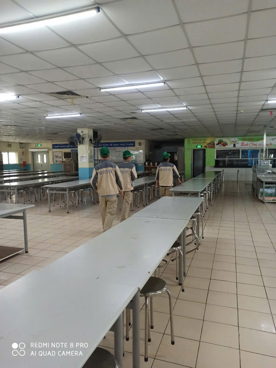 Dịch vụ diệt công trùng - Công Ty TNHH Nhà Đẹp Đại Dương