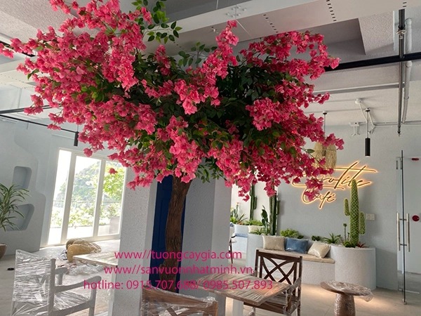 Cây hoa giấy