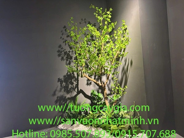 Chậu cây thạch nam