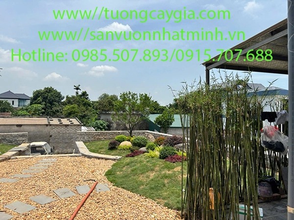 Thi công sân vườn