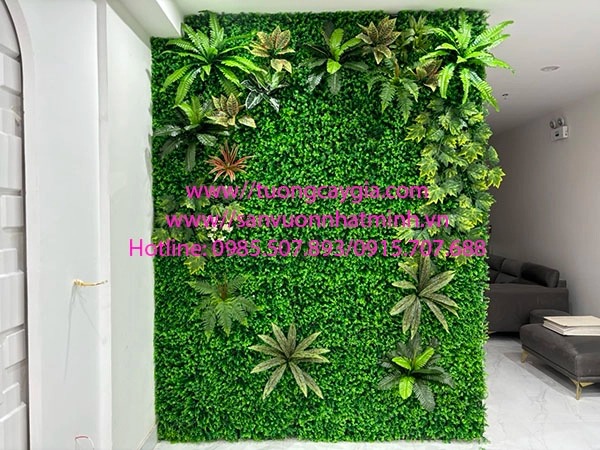 Thi công tường cỏ