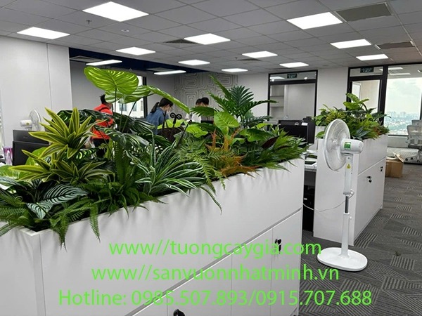 Trang trí bục cây
