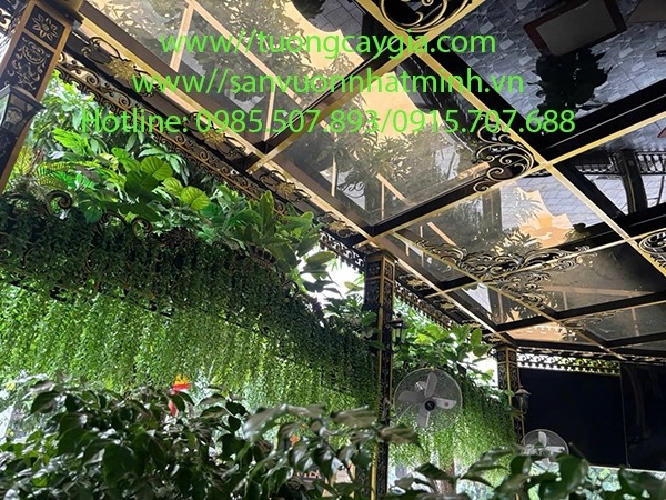 Trang trí dây leo