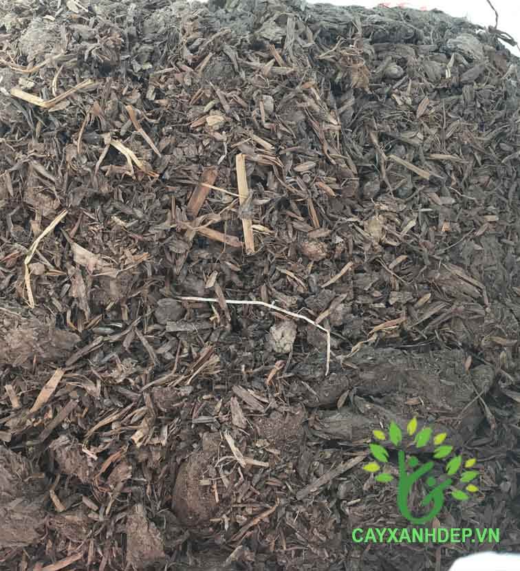 Phân rơm - Cây Xanh Đẹp - Công Ty TNHH Một Thành Viên Cây Xanh Đẹp