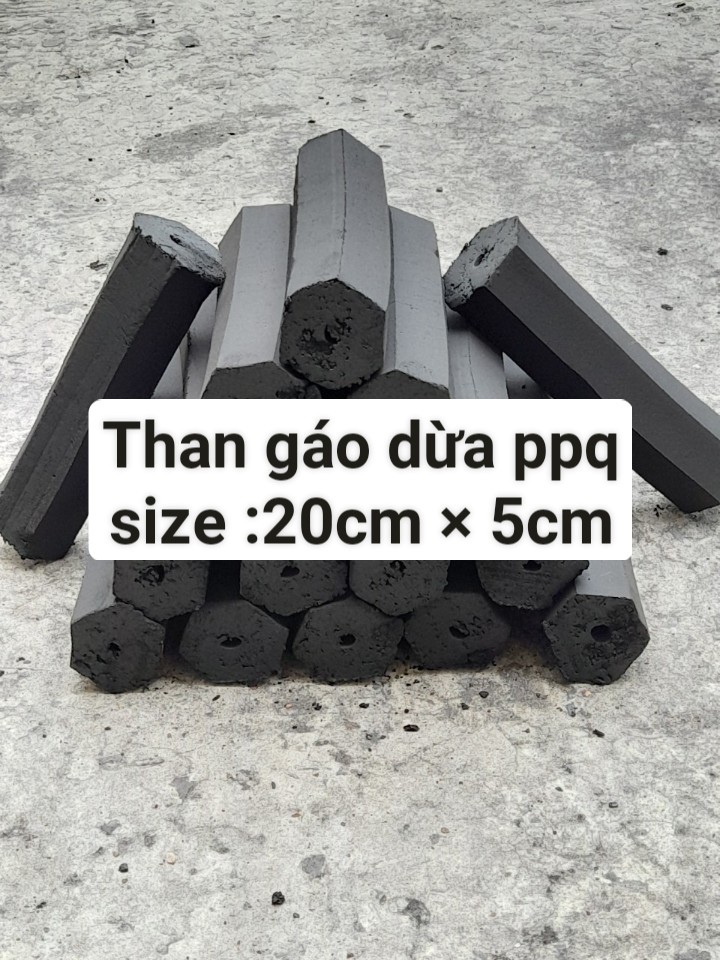 Than gáo dừa ppq size 20cm*5cm