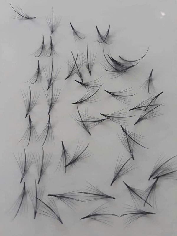 Lông mi hàng fan