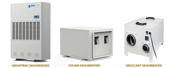 Máy hút ẩm công nghiệp HOLDRY