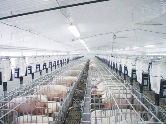 Cung cấp máy phát điện cho trang trại chăn nuôi ở Nam Định - Máy Phát Điện Thăng Long - Công Ty Cổ Phần Chế Tạo Máy Thăng Long