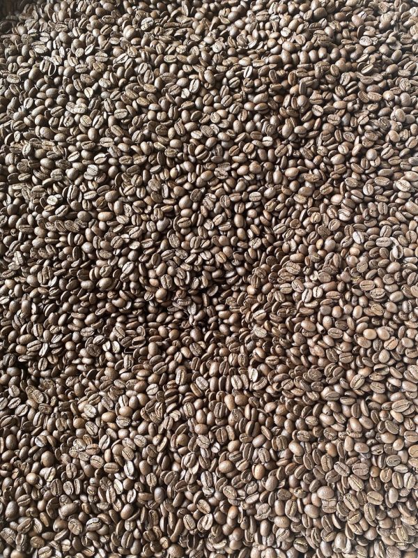 Cà phê Arabica cầu đất