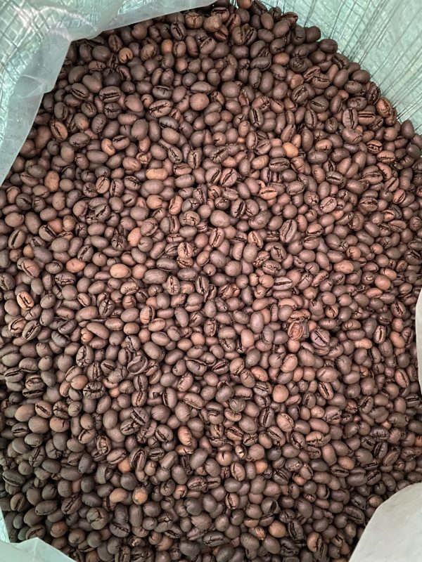 Cà phê Culi Robusta S18 cao cấp