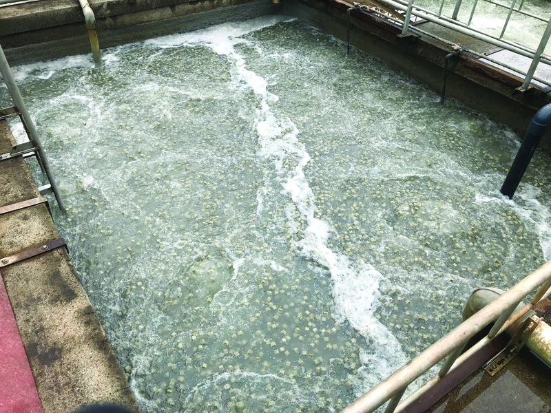 Công nghệ giá thể MBBR - Xử Lý Nước KEEV - Công Ty Cổ Phần Kotobuki E & E Việt Nam