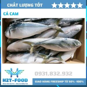 Cá cam Nhật Bản - Nhà Cung Cấp Thịt Nhập Khẩu H2T Food - Công Ty TNHH H2T Food