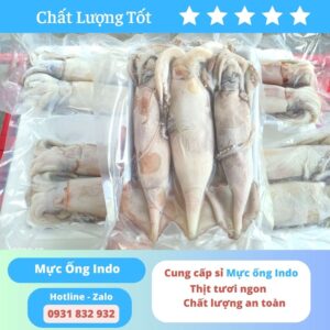 Mực ống indo - Nhà Cung Cấp Thịt Nhập Khẩu H2T Food - Công Ty TNHH H2T Food