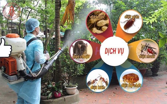 Dịch vụ khử trùng tại nhà