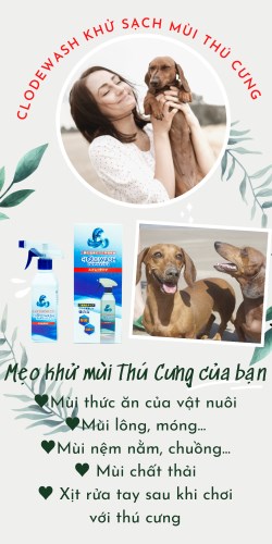 Chai xịt 300ml - Dung Dịch Khử Mùi Envroy - Công Ty Cổ Phần Envroy Việt Nam