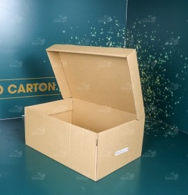 Hộp carton nắp gài - Công Ty TNHH Sản Xuất Thương Mại Dịch Vụ Tổng Hợp Dao CARTON