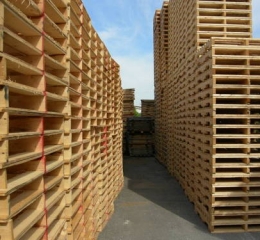 Pallet gỗ