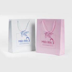 In túi giấy cao cấp - Bao Bì Miền Bắc - Công Ty Cổ Phần Sản Xuất Bao Bì Miền Bắc