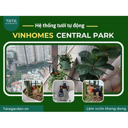 Thi công hệ thống tưới Vinhomes Central Park - Thiết Bị Tưới Tự Động Claber - Công Ty TNHH Kỹ Thuật NTS