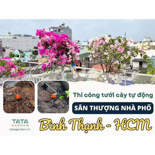 Thi công hệ thống tưới cây Bình Thạch - Thiết Bị Tưới Tự Động Claber - Công Ty TNHH Kỹ Thuật NTS