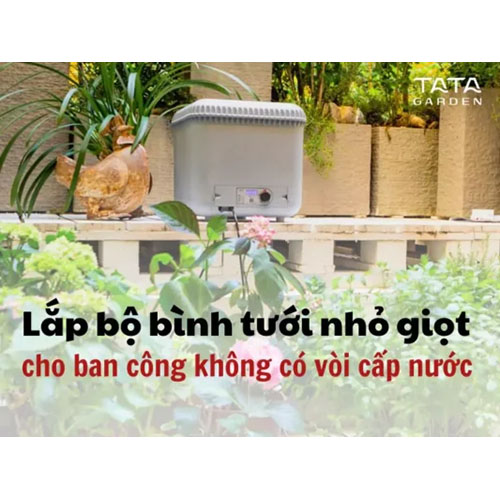 Lắp đặt bộ tưới nhỏ giọt tại Hà Nội - Thiết Bị Tưới Tự Động Claber - Công Ty TNHH Kỹ Thuật NTS