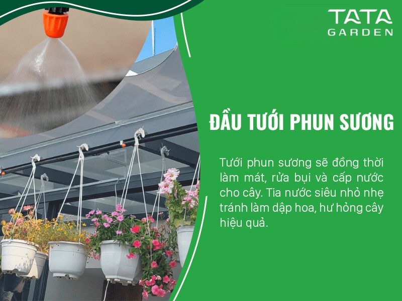 Giải pháp tưới cây ban công - Thiết Bị Tưới Tự Động Claber - Công Ty TNHH Kỹ Thuật NTS