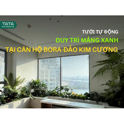 Lắp đặt hệ thống tưới tự động cho căn hộ Bora - Thiết Bị Tưới Tự Động Claber - Công Ty TNHH Kỹ Thuật NTS