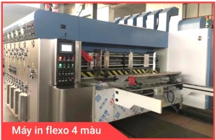 Máy in Flexo 4 màu - Thùng Carton Thành An - Công Ty TNHH Sản Xuất Và In ấn Bao Bì Thành An