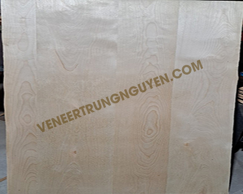 Ván màu Birch bông - Ván Veneer Trung Nguyên - Công Ty TNHH Kỹ Nghệ Gỗ Trung Nguyên