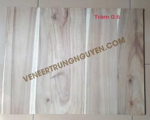 Ván màu tràm - Ván Veneer Trung Nguyên - Công Ty TNHH Kỹ Nghệ Gỗ Trung Nguyên