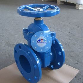 Van cổng ty chìm mặt bích