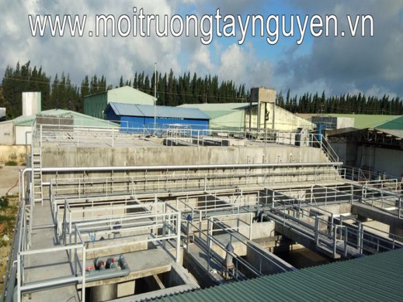 Hệ thống xử lý nước thải thủy sản - Công Ty TNHH Thương Mại Và Dịch Vụ Môi Trường Việt