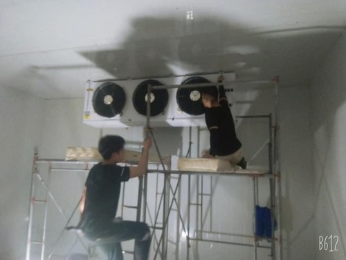 Lắp đặt kho lạnh - Công Ty TNHH Thương Mại Và Dịch Vụ Cơ Điện Lạnh Sao Vàng