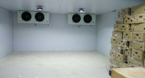 Lắp đặt kho lạnh - Công Ty TNHH Thương Mại Và Dịch Vụ Cơ Điện Lạnh Sao Vàng