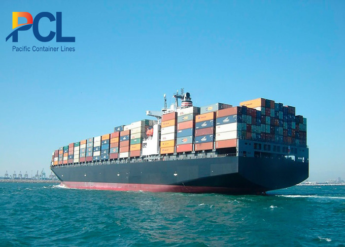 Dịch vụ thuê và cho thuê tàu - PCL - Công Ty Cổ Phần Vận Tải Biển Container Thái Bình Dương