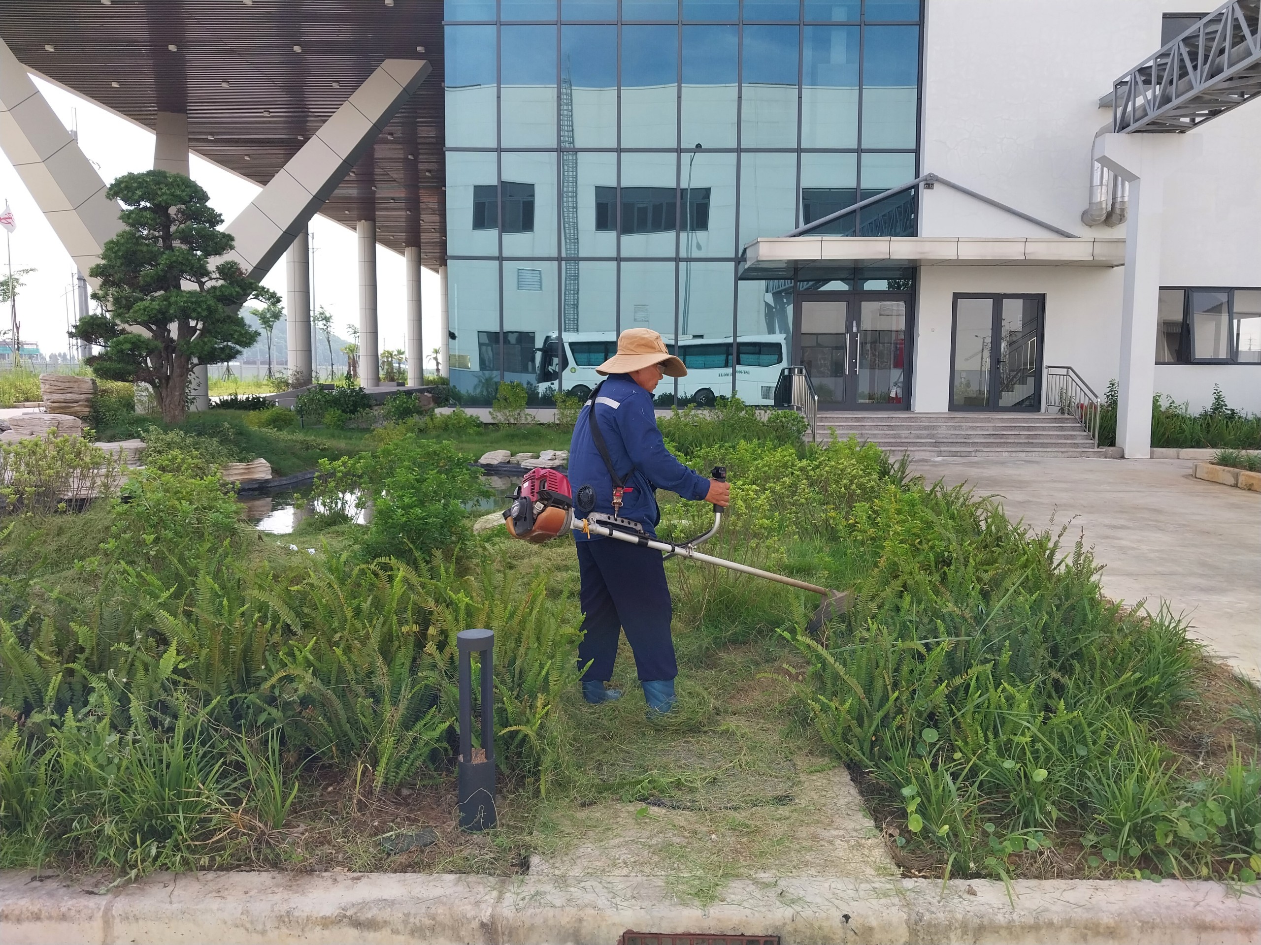 Dịch vụ cây xanh - Vệ Sinh Công Nghiệp Nhà Việt - Công Ty TNHH Dịch Vụ Và Thương Mại Nhà Việt