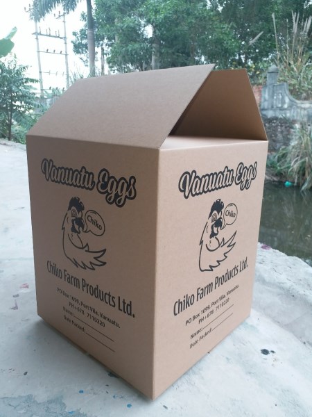 Bao bì carton
