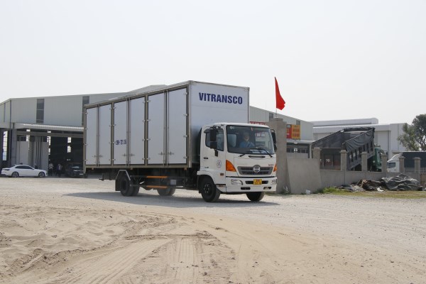 Logistic Vitransco