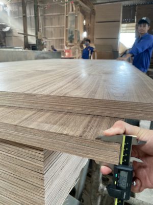 Ván Veneer
