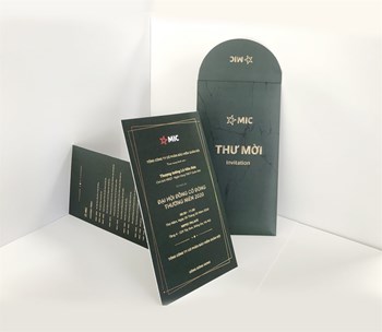 In phong bì 11x22cm