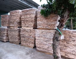 Dịch vụ thanh lý gỗ - Pallet Thành Vinh - Công Ty TNHH Pallet Thành Vinh