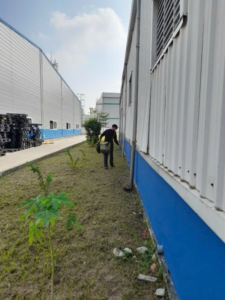 Dịch vụ diệt côn trùng - Doanh Nghiệp Tư Nhân Dịch Vụ Quang Thiều