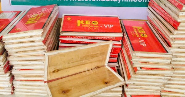 Keo diệt chuột - Doanh Nghiệp Tư Nhân Dịch Vụ Quang Thiều