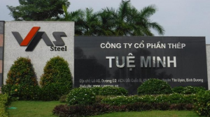 Nhà máy thép Tuệ Minh - Cây Xanh An Khang - Công Ty TNHH Dịch Vụ Và Kỹ Thuật An Khang