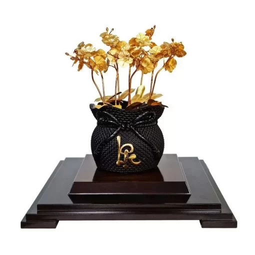 Chậu lan hồ điệp 9 cành dát vàng