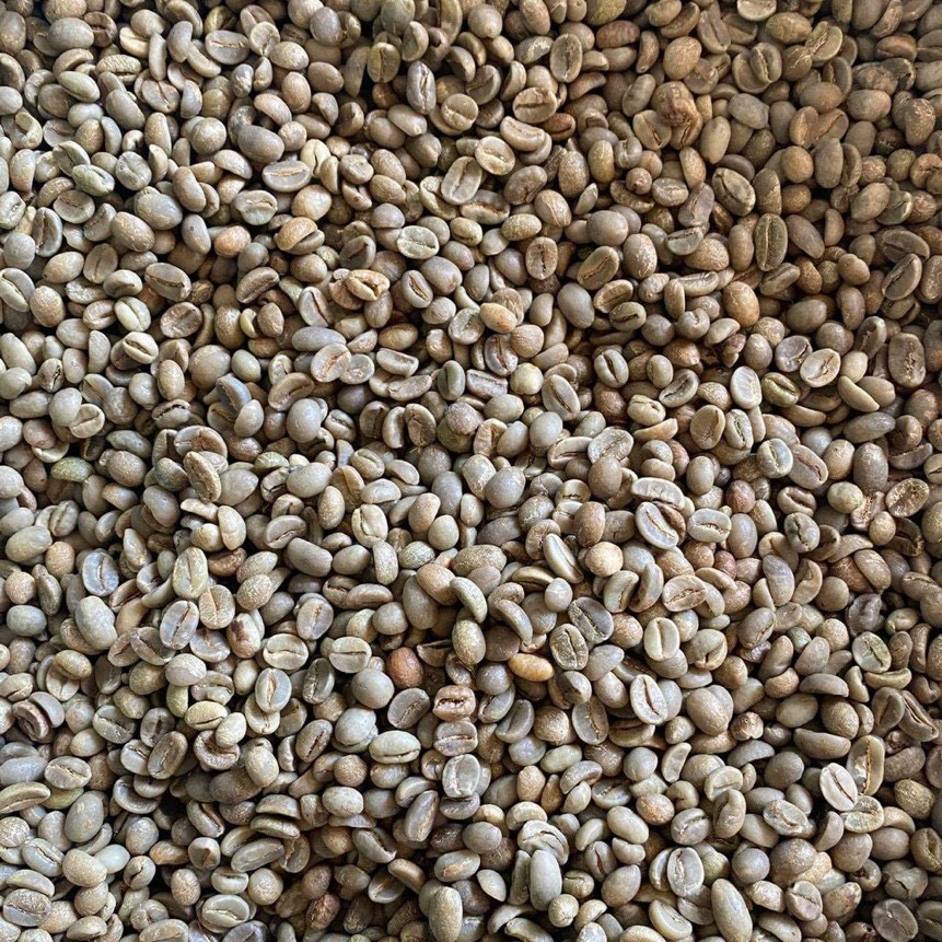 Hạt cà phê Arabica S16 - Công Ty TNHH Vietnam Global Trading