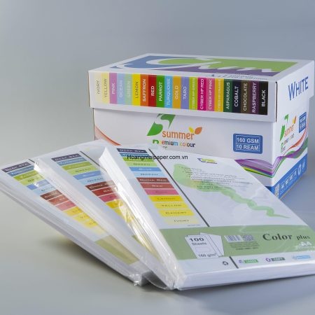 Bìa màu - Công Ty TNHH Sản Xuất Và Xuất Nhập Khẩu Hoàng Mai